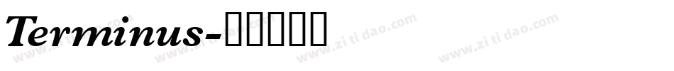 Terminus字体转换