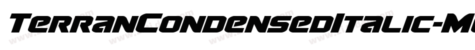 TerranCondensedItalic-MgAp字体转换 TerranCondensedItalic-MgAp字体转换
