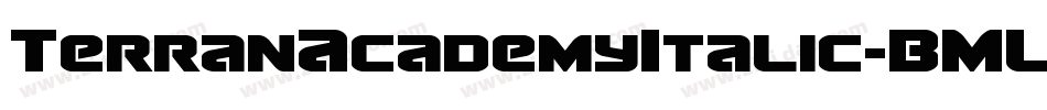 TerranAcademyItalic-BMLB字体转换