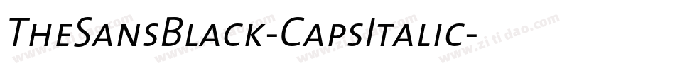 TheSansBlack-CapsItalic字体转换