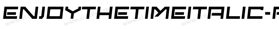 EnjoyTheTimeItalic-RM9E字体转换