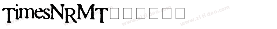 TimesNRMT字体转换