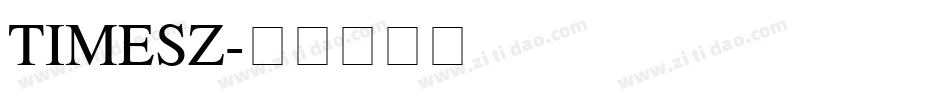 TIMESZ字体转换