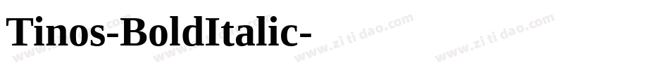 Tinos-BoldItalic字体转换