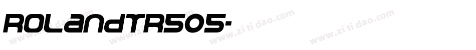 RolandTR505字体转换