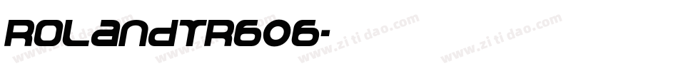 RolandTR606字体转换