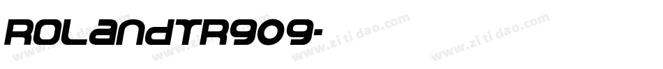 RolandTR909字体转换