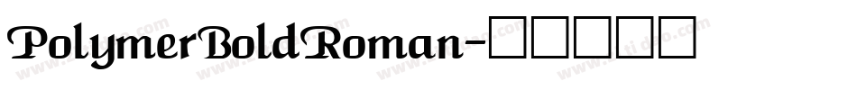 PolymerBoldRoman字体转换