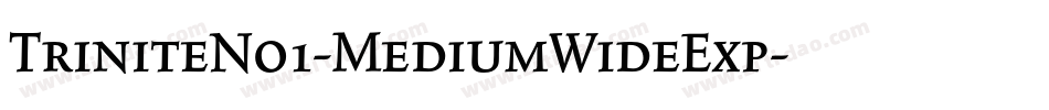 TriniteNo1-MediumWideExp字体转换