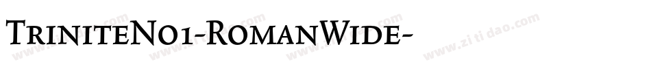 TriniteNo1-RomanWide字体转换