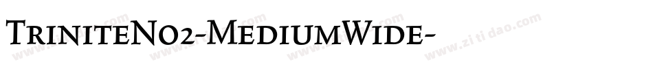 TriniteNo2-MediumWide字体转换