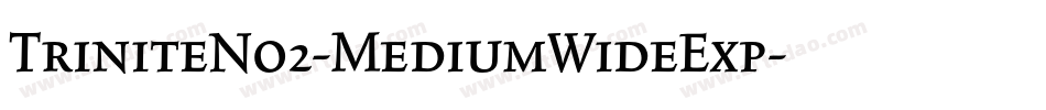 TriniteNo2-MediumWideExp字体转换