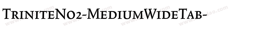 TriniteNo2-MediumWideTab字体转换