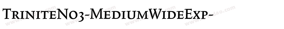 TriniteNo3-MediumWideExp字体转换