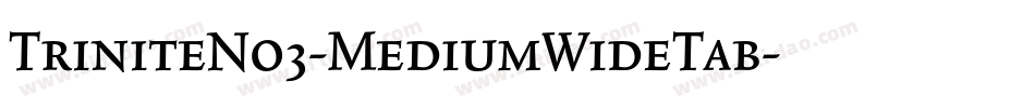 TriniteNo3-MediumWideTab字体转换