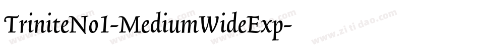 TriniteNo1-MediumWideExp字体转换