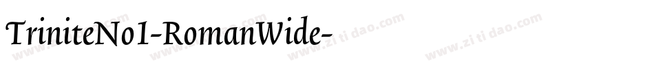 TriniteNo1-RomanWide字体转换