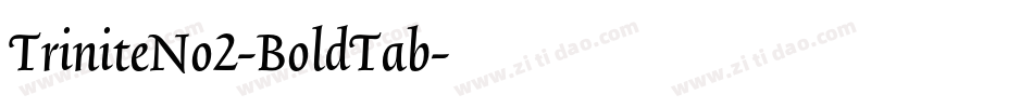 TriniteNo2-BoldTab字体转换