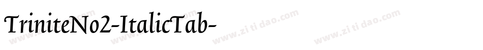 TriniteNo2-ItalicTab字体转换