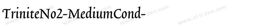 TriniteNo2-MediumCond字体转换
