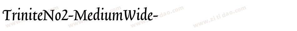 TriniteNo2-MediumWide字体转换