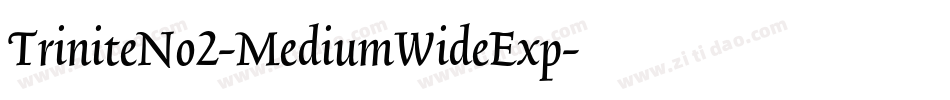 TriniteNo2-MediumWideExp字体转换