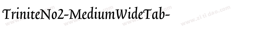 TriniteNo2-MediumWideTab字体转换