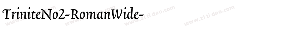 TriniteNo2-RomanWide字体转换