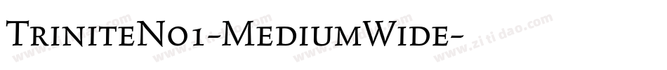 TriniteNo1-MediumWide字体转换