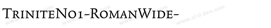 TriniteNo1-RomanWide字体转换