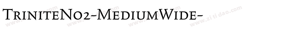 TriniteNo2-MediumWide字体转换