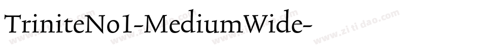 TriniteNo1-MediumWide字体转换