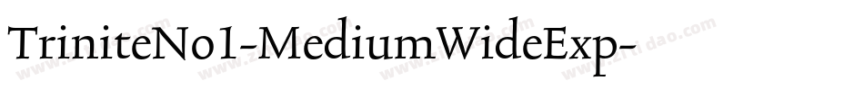 TriniteNo1-MediumWideExp字体转换