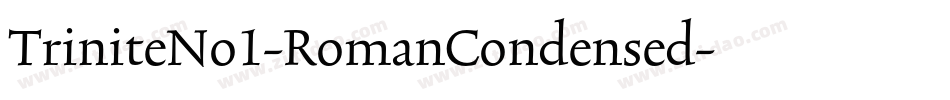 TriniteNo1-RomanCondensed字体转换