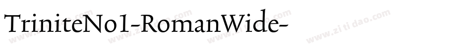 TriniteNo1-RomanWide字体转换