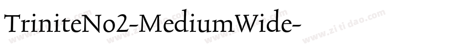 TriniteNo2-MediumWide字体转换