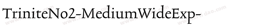 TriniteNo2-MediumWideExp字体转换