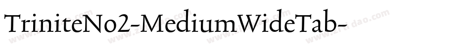 TriniteNo2-MediumWideTab字体转换