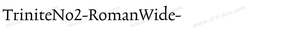 TriniteNo2-RomanWide字体转换