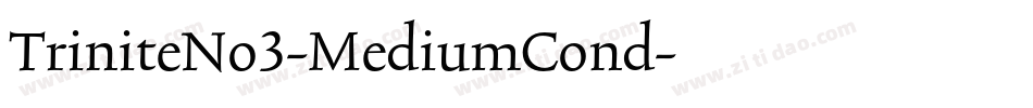 TriniteNo3-MediumCond字体转换