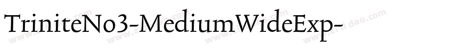 TriniteNo3-MediumWideExp字体转换