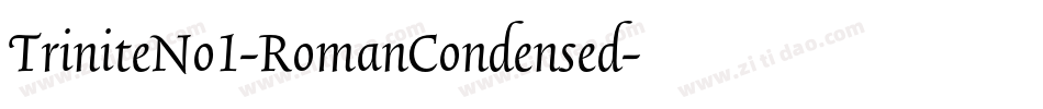 TriniteNo1-RomanCondensed字体转换