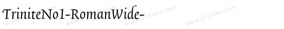 TriniteNo1-RomanWide字体转换