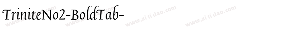 TriniteNo2-BoldTab字体转换