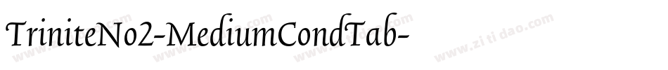 TriniteNo2-MediumCondTab字体转换