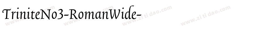 TriniteNo3-RomanWide字体转换