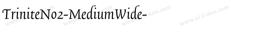 TriniteNo2-MediumWide字体转换
