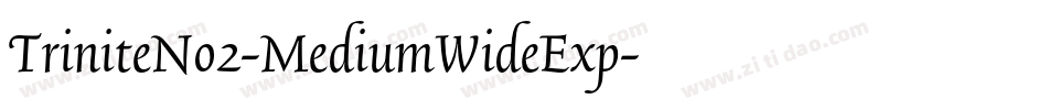TriniteNo2-MediumWideExp字体转换