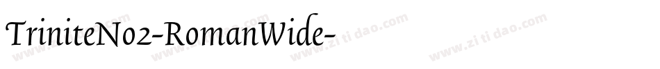 TriniteNo2-RomanWide字体转换