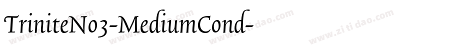 TriniteNo3-MediumCond字体转换